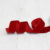 Passione